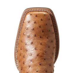 Ariat Men`s Quantum Primo Ranger FQ Ostrich 11` Beam Brown Top Square Toe Boots 6 Ariat Men`s Quantum Primo Ranger FQ Ostrich 11` Beam Brown Top Square Toe Boots -Beste Western Cowboy Store 10040281 4