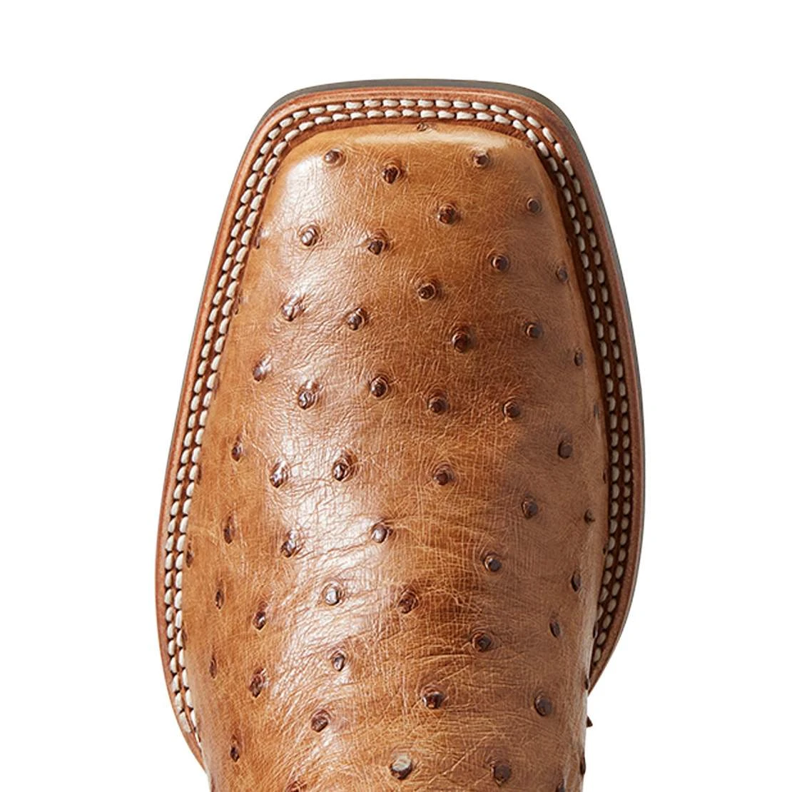 Ariat Men`s Quantum Primo Ranger FQ Ostrich 11` Beam Brown Top Square Toe Boots Ariat Men`s Quantum Primo Ranger FQ Ostrich 11` Beam Brown Top Square Toe Boots -Beste Western Cowboy Store 10040281 4