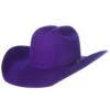 Rodeo King 7X Purple Self Band 4 1/4in. Brim Open Crown Felt Cowboy Hat -Beste Western Cowboy Store 139736 default l