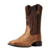 Ariat Men`s Quantum Primo Ranger FQ Ostrich 11` Beam Brown Top Square Toe Boots -Beste Western Cowboy Store 146659 default l