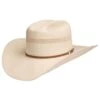 Stetson Hats 100X Griffin 4 1/4in. Brim Hat -Beste Western Cowboy Store 92696 default l