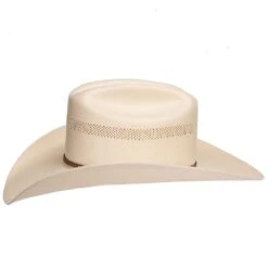 Stetson Hats 100X Griffin 4 1/4in. Brim Hat -Beste Western Cowboy Store SSGRFN 304281 2