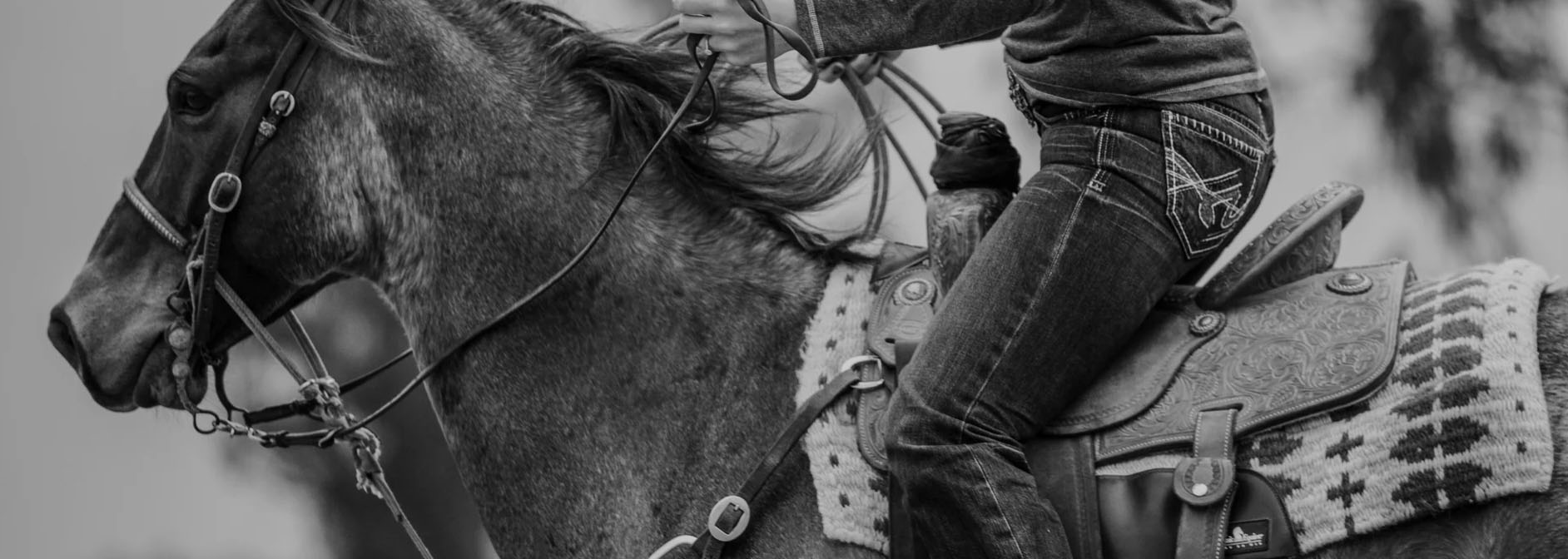 Beste Western Cowboy Store -Beste Western Cowboy Store hgl